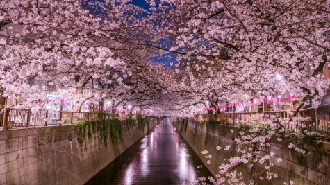 le-japon-entre-tradition-et-modernite-et-audela