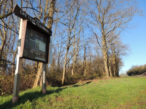 lrourthe-franque-la-necropole-de-vieuxville-et-le-chateaufort-de-logne