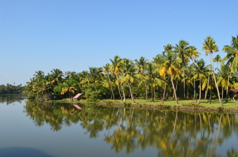 backwater-16445071280.jpg