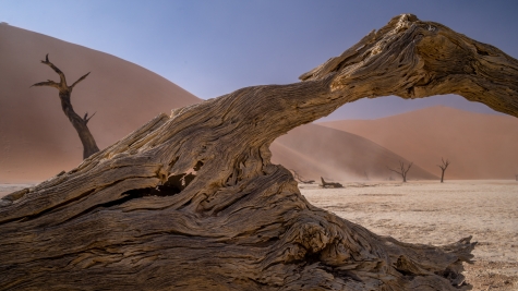 namibie-bourguet-ete-2021-4.jpg