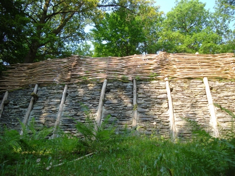 le-site-protoceltique-du-chesle-une-enceinte-hallstattienne-en-ardenne